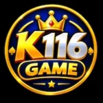 K116 Game
